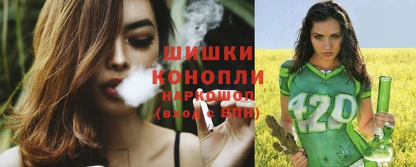 бошки Белокуриха
