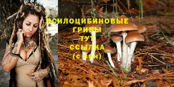прущая мука Белоозёрский