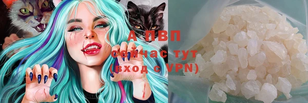 бошки Белокуриха